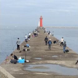 活性上がらない播磨新島のキス