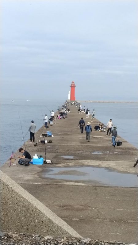 活性上がらない播磨新島のキス