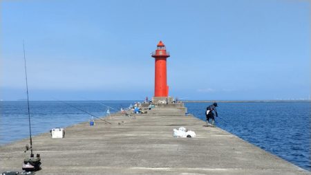 良型キスのブルブルは暫く先のようです