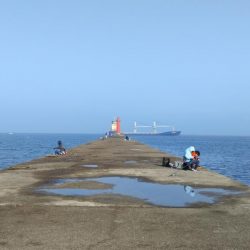 シーズン30回目の播磨新島釣行