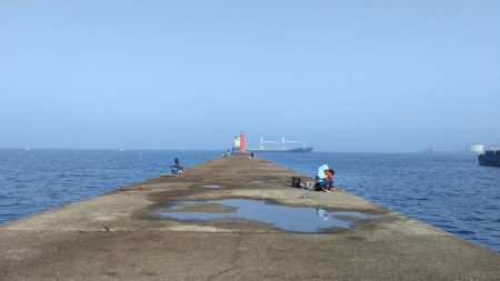 シーズン30回目の播磨新島釣行