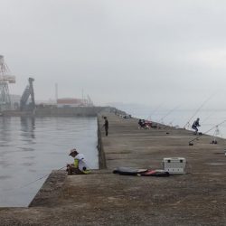 日ムラ激しい播磨新島のキス