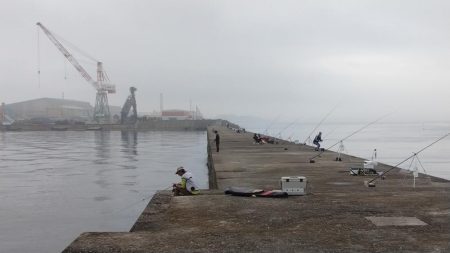 日ムラ激しい播磨新島のキス