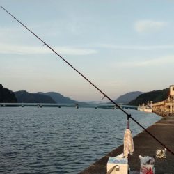 シーズン初の津居山釣行