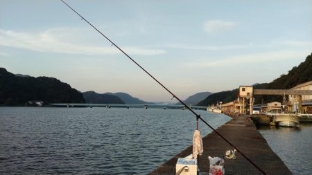 シーズン初の津居山釣行