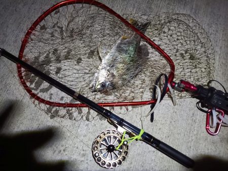 2023/07/21 南港ヘチ釣り釣行