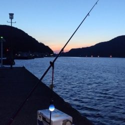 シーズン2回目の津居山釣行