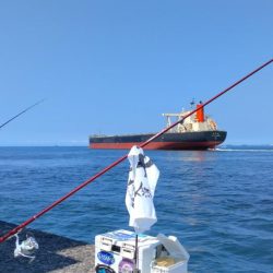 活性下がった播磨新島のキス