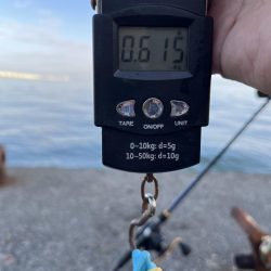 数もサイズも上がらない