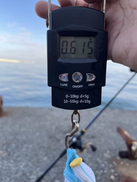 数もサイズも上がらない