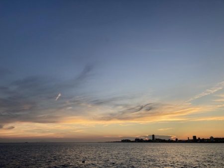 久しぶりの再会