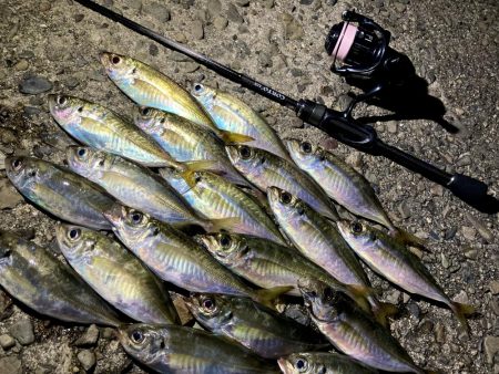 Newロッド鱗付けで、つ抜け！