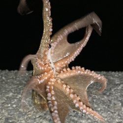 最終日、サイズアップ成らず!