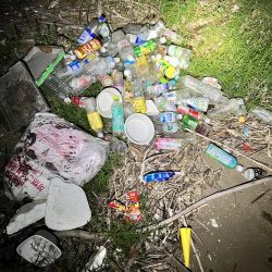 サビキ無双への糸口？