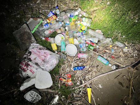 サビキ無双への糸口？