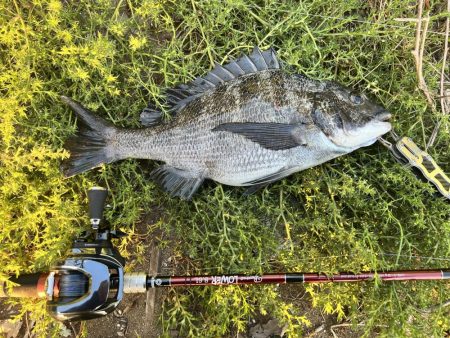 ３連休最終日の午前の部！！