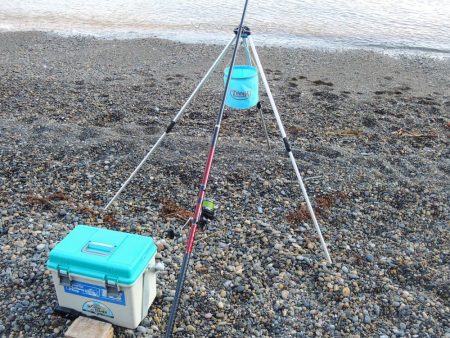 キス釣り 猛暑で渋い