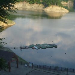 七月のなまずその２