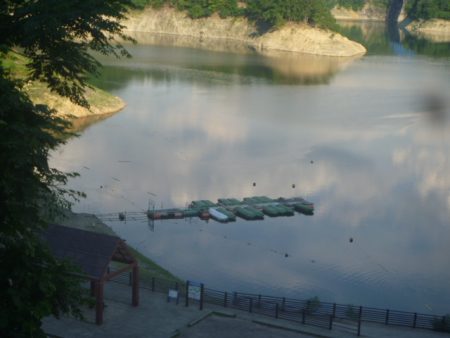 七月のなまずその２