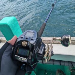 初落とし込み釣り