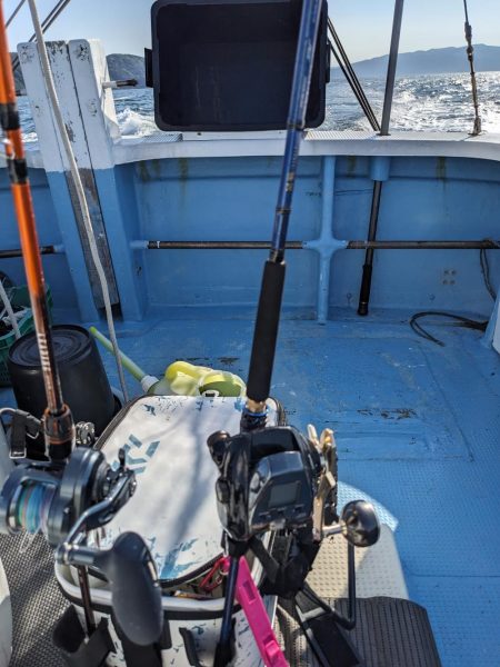 アコウいっぱい