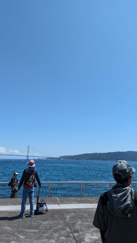 明石市役所裏でライトゲーム