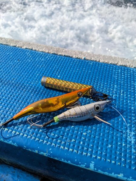 灼熱のタコ釣り