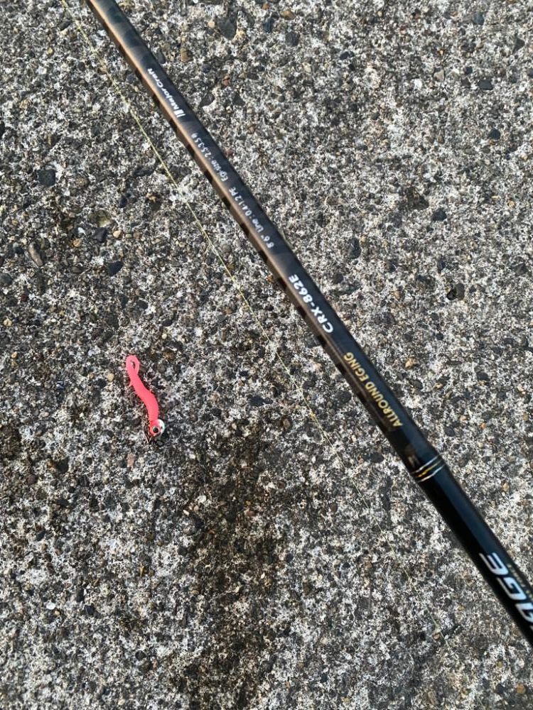 キジハタゲーム