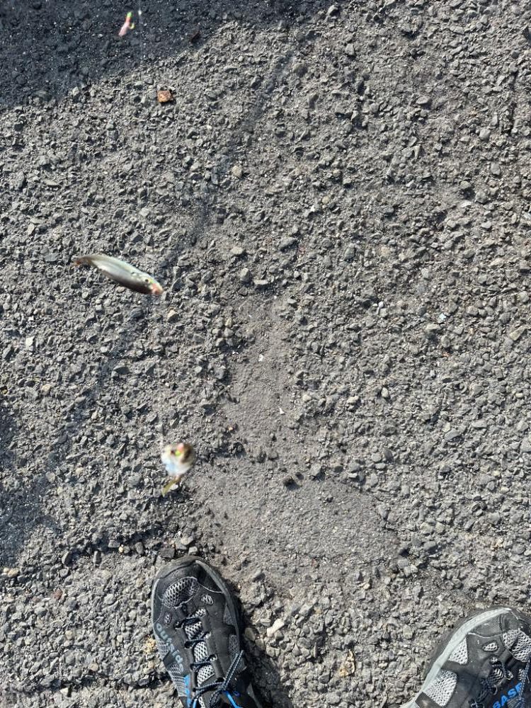 四日市ファミリーフィッシング