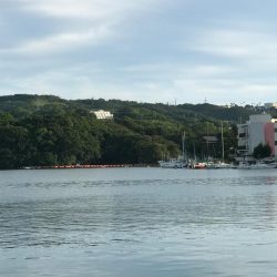 南紀の堤防でのんびり