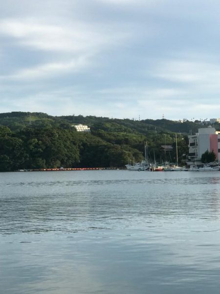 南紀の堤防でのんびり