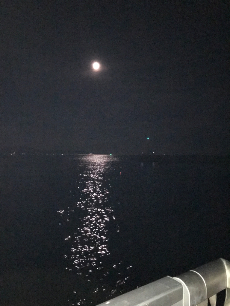 鯖でちょい投げ