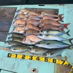 人生初の高仕掛けでの鯛釣り
