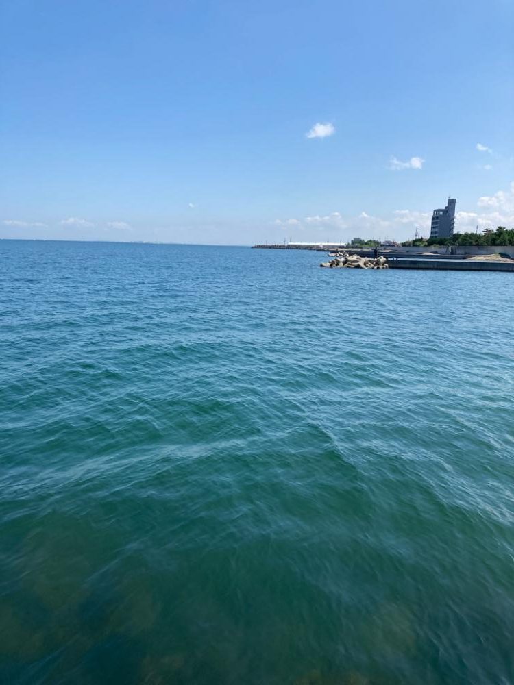 夏イカモンスターを求めて?!