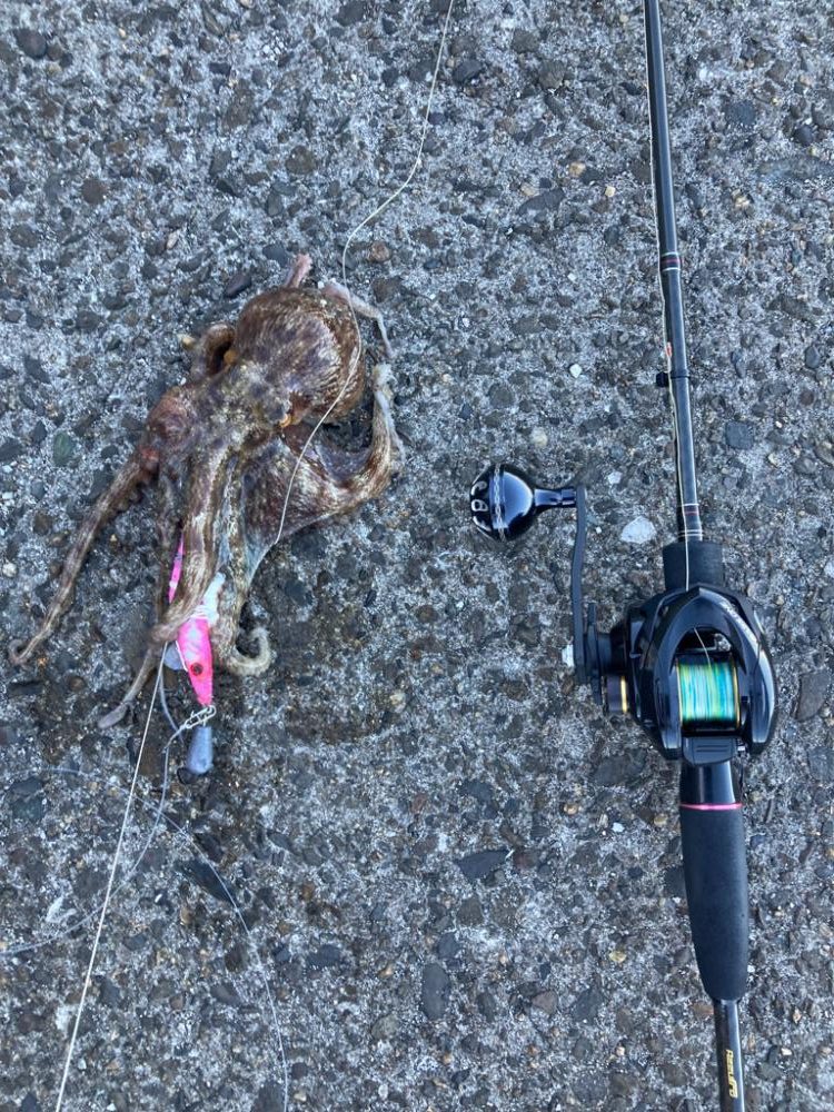 ⭐︎岸ジギは1時間にして成らず