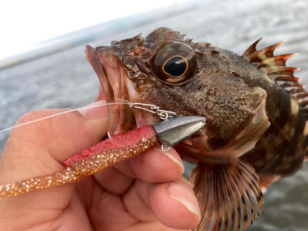 トレジャーハント成功‼️