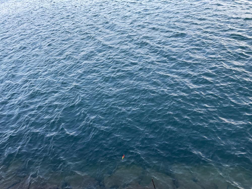 Wヘッダー 初戦❓