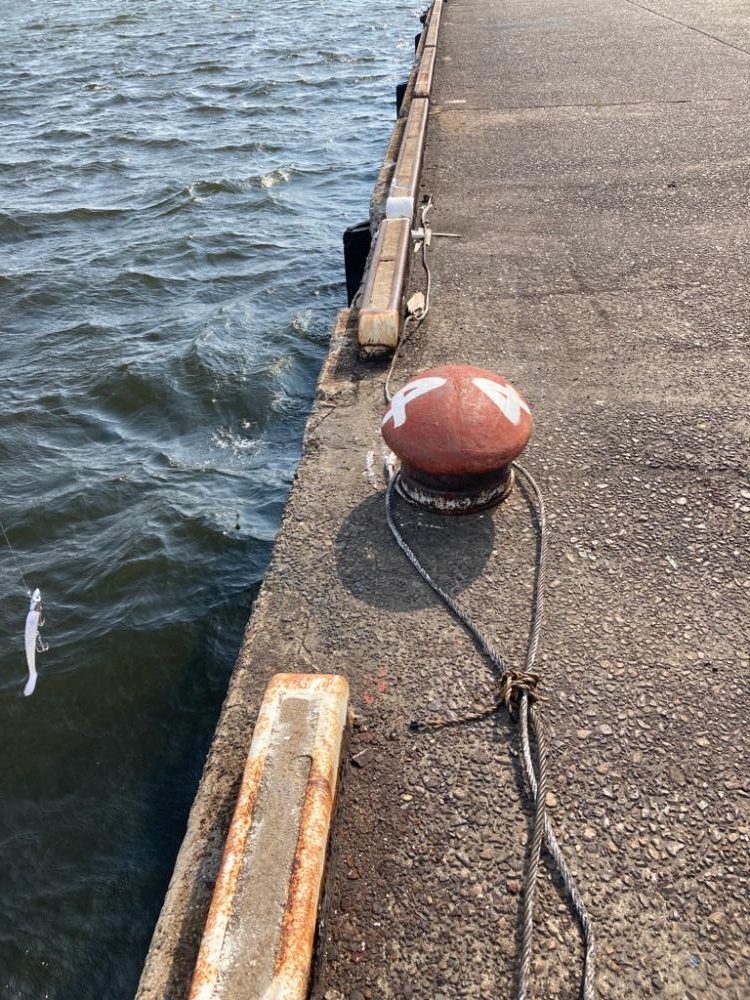 ⭐︎岸ジギサイコー