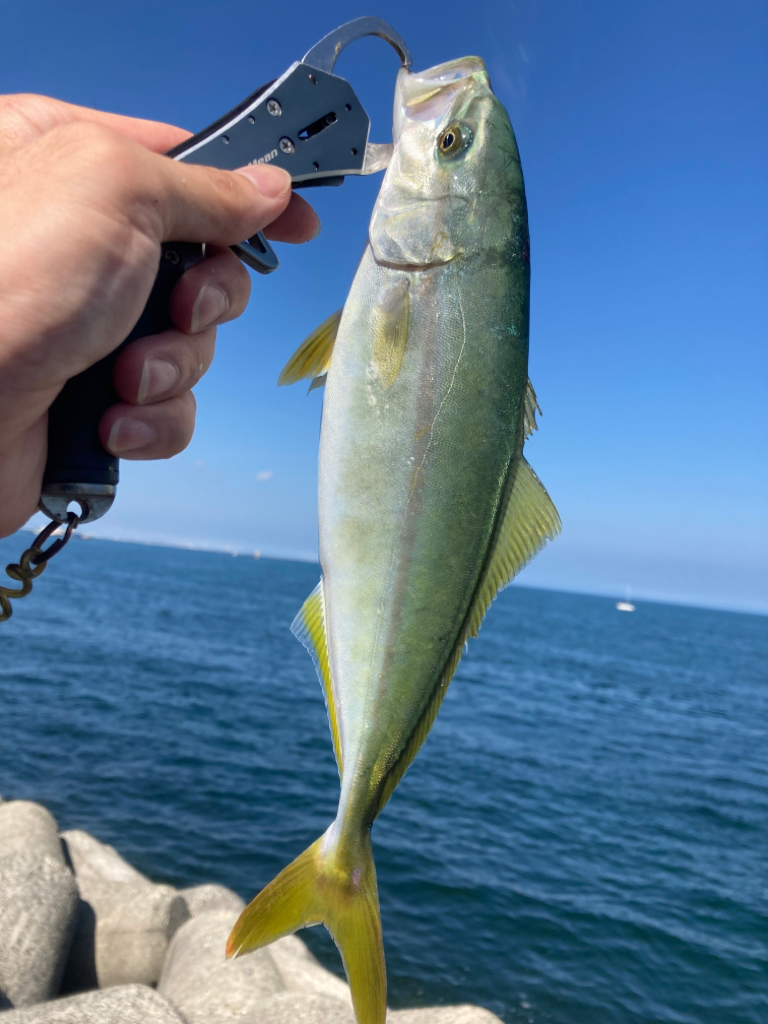 2023ライトゲーム第27戦