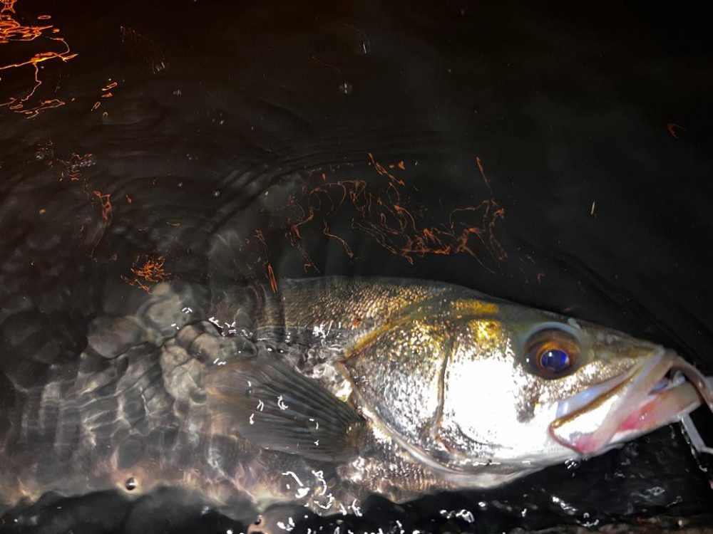 シンペンを縦に流すと。