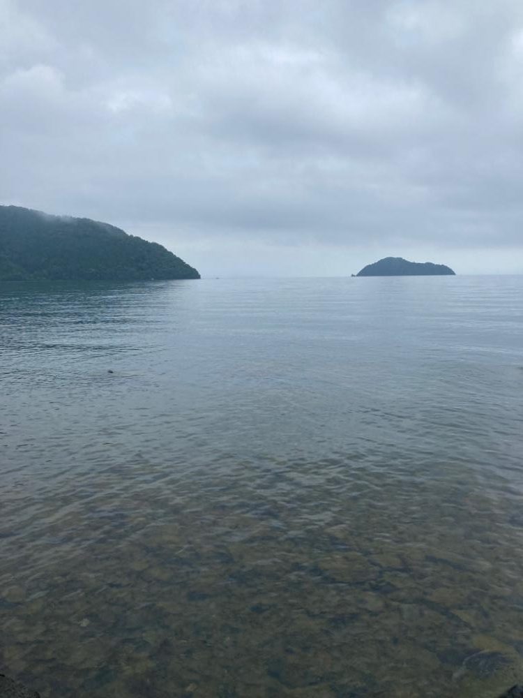 プラグで数釣り