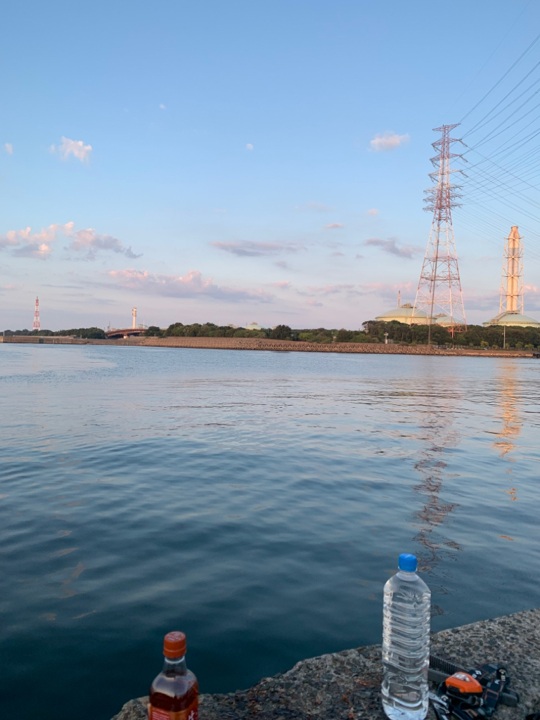 1週間ぶりのサビキ