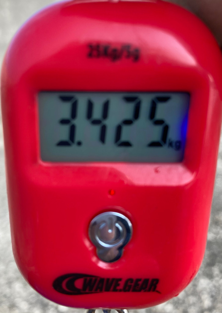 ⭐︎初のキロアップ