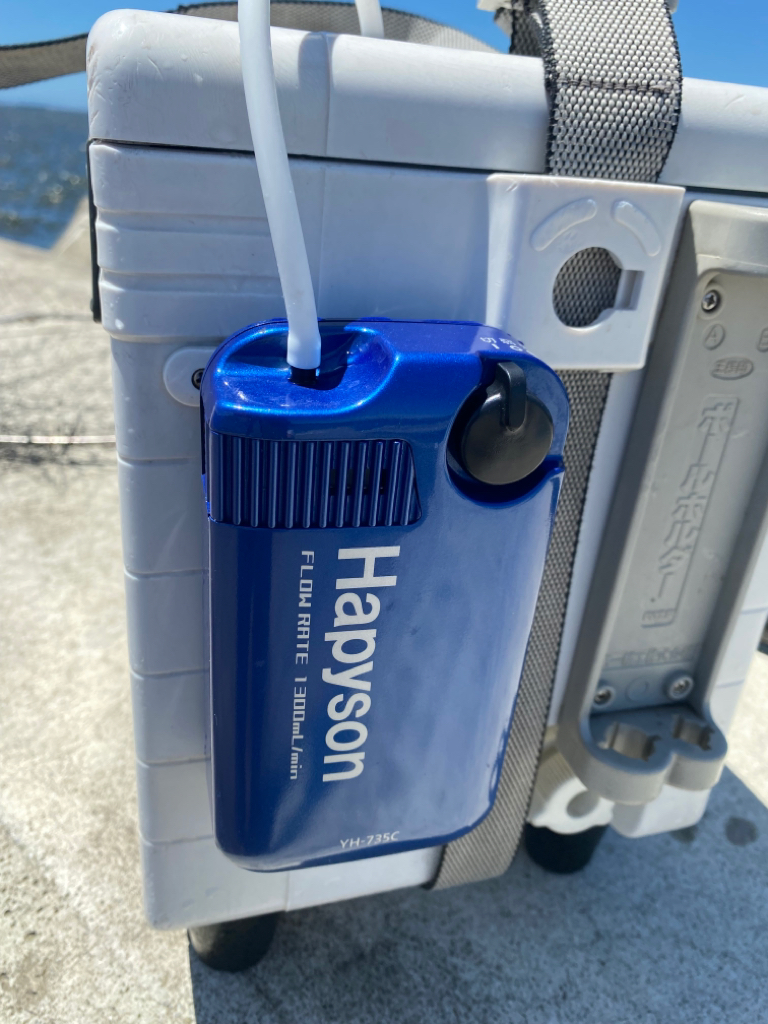 また強く風が吹き始め