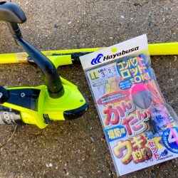 グレ釣りはかんたんウキ釣りセットでOKにゃ！