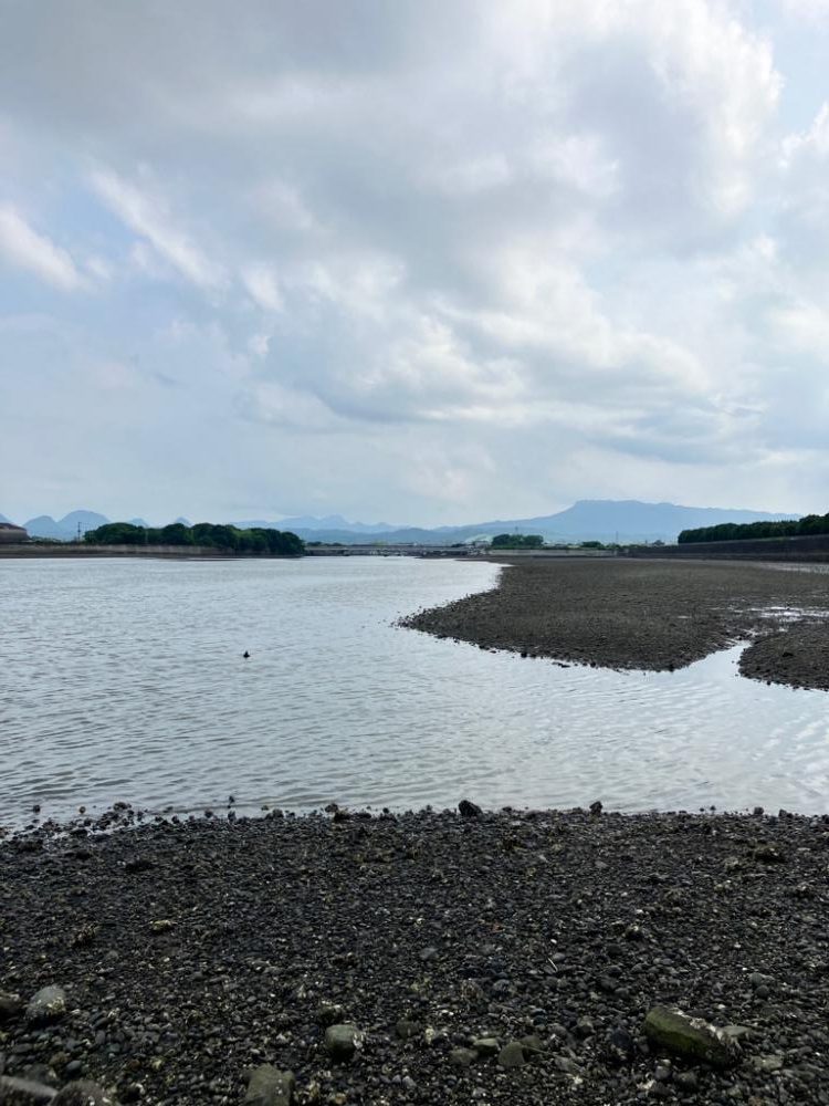 トップチニング