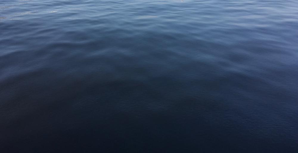 梅雨明け親子釣行