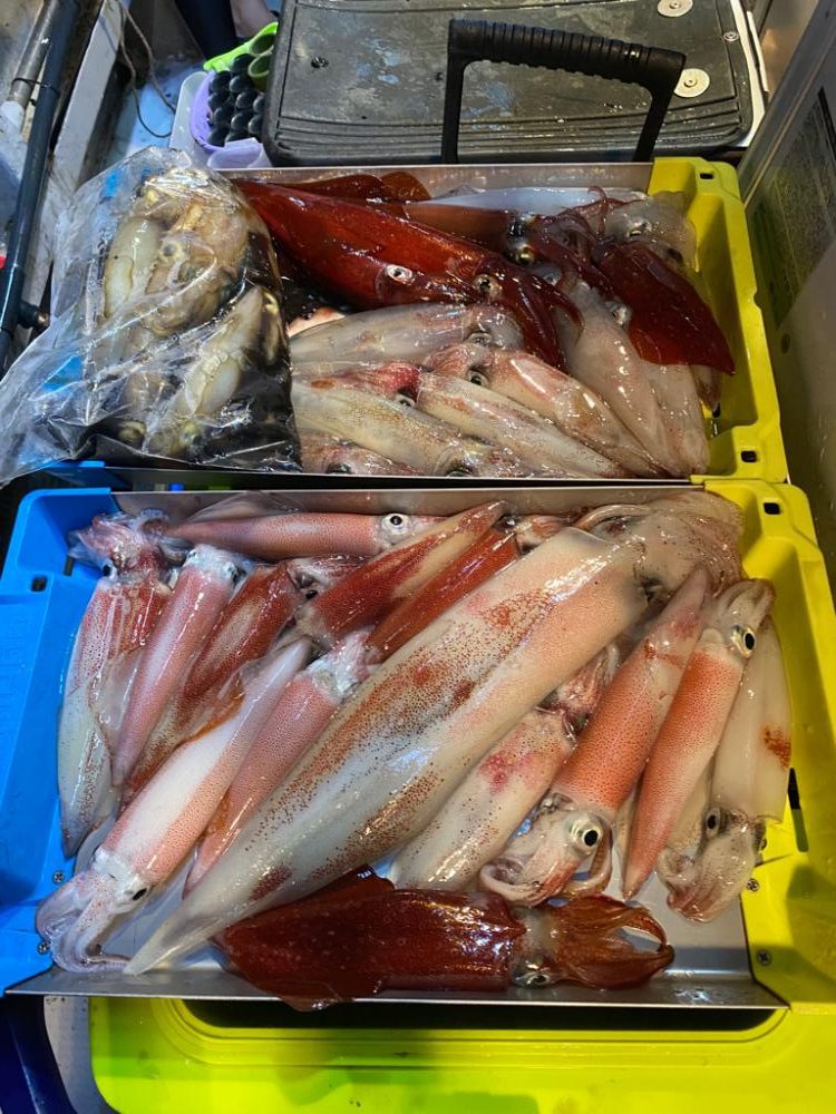 おとなの夜遊び深夜便