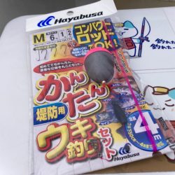 たまにはウキ釣りも良いですにゃぁと。