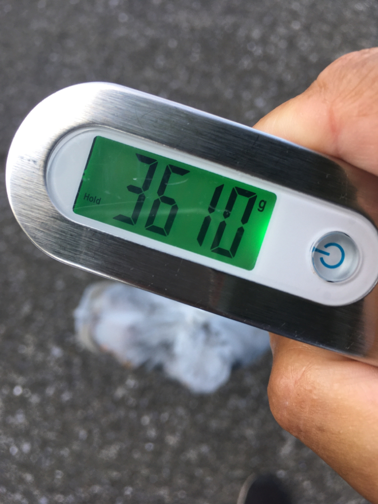 【タコフィネス】 テトラで計3600g＋コウイカ